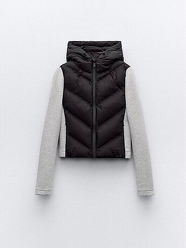 zara mont