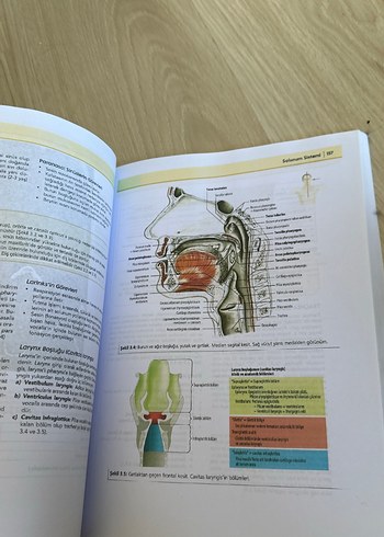  İnsan Anatomisi Kitabı - Prof. Dr. Davut Özbağ