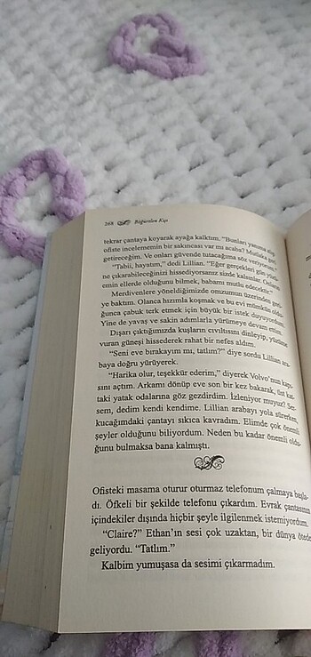  Beden Böğürtlen Kışı