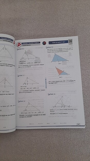 Beden Renk Mert Hoca TYT AYT Geometri Video Ders Kitabı
