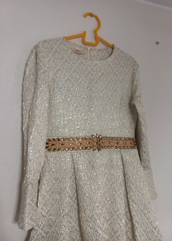 Uzun Kollu Kemerli Vintage Elbise - Görsel 3