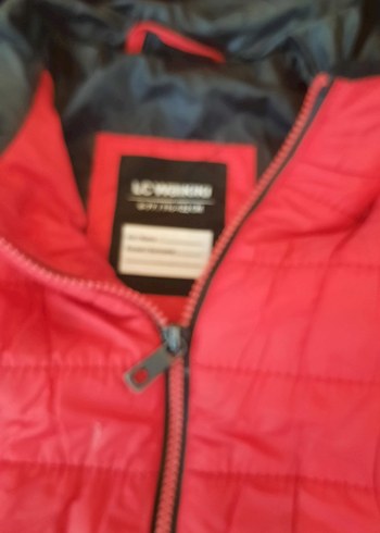 Erkek Çocuk Kırmızı Fermuarlı Mont - Görsel 2