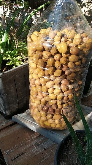 5 kg bidon