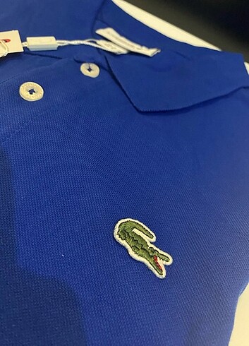 m Beden Lacoste polo yaka t-shirt