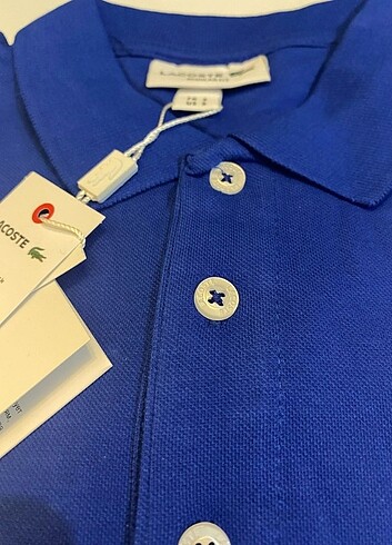 m Beden mavi Renk Lacoste polo yaka t-shirt