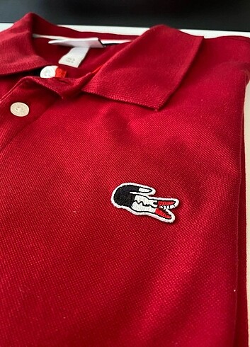 s Beden Polo yaka erkek t-shirt