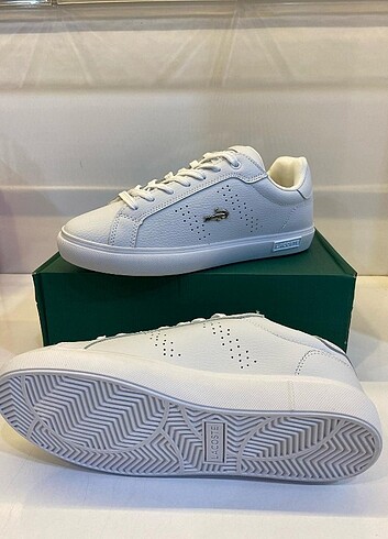 Lacoste erkek sneakers 