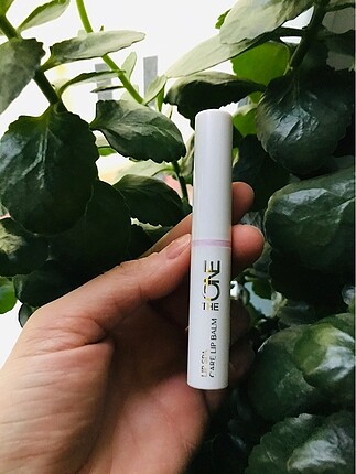  Beden Renkli lipbalm