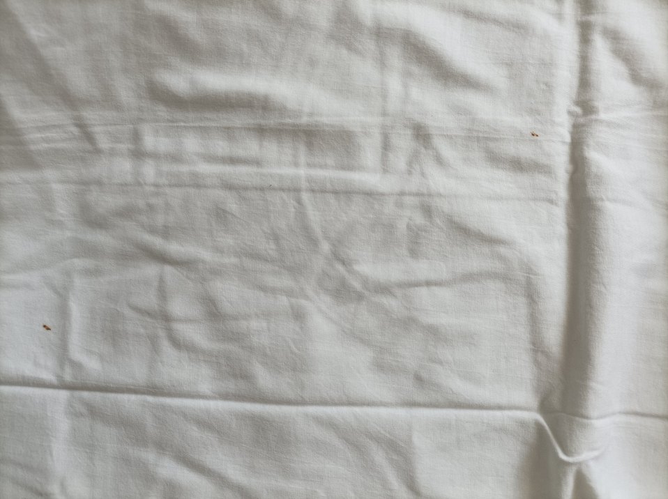 Kısa Kol Erkek Fanila - Görsel 3