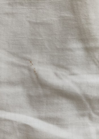 Erkek Fanila Kısa Kollu - Görsel 3