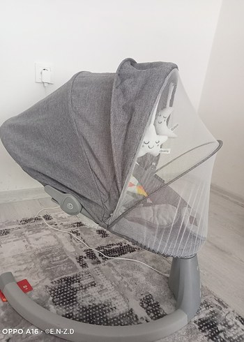 Diğer Gri ana kucağı