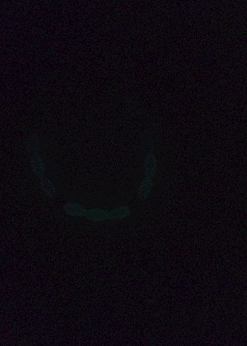 Beyaz Pastel Bileklik - Görsel 2