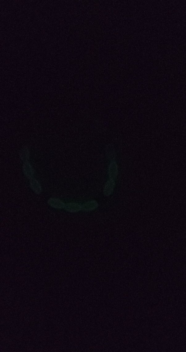 Beyaz Pastel Bileklik - Görsel 2