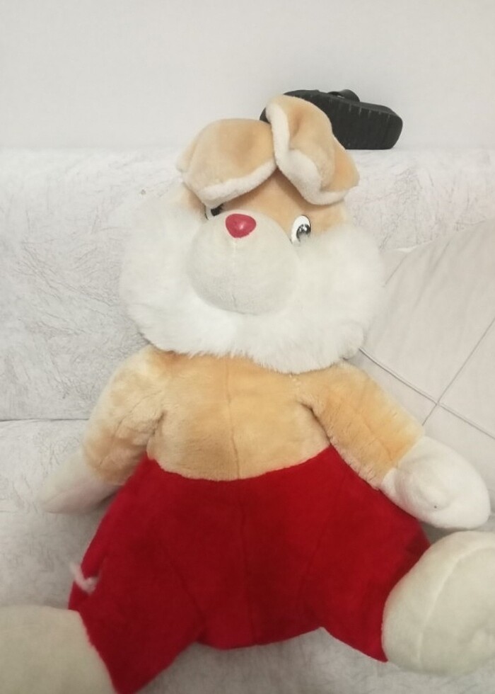 Ayıcık  - Görsel 2