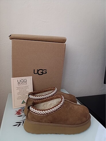 Ugg Tazz SÜET DERİ