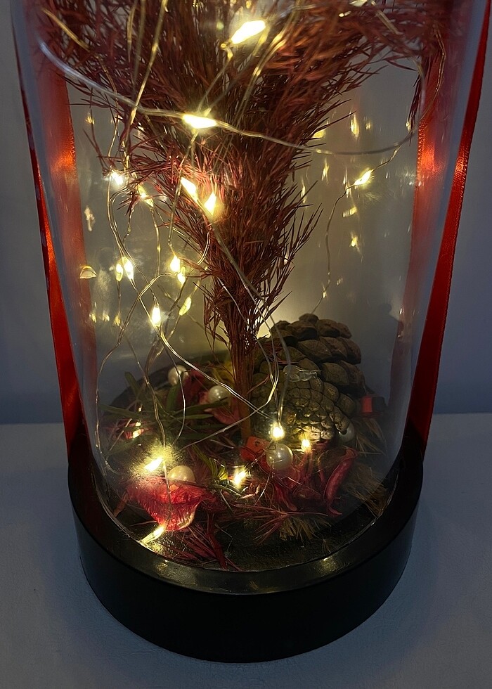 Led Işıklı Cam Fanus-Dekoratif Mika Cam Fanus - Görsel 2