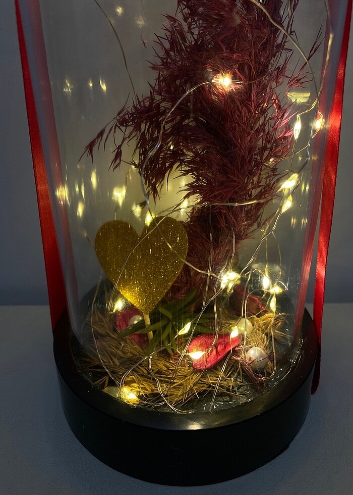 Led Işıklı Cam Fanus-Dekoratif Mika Cam Fanus - Görsel 2