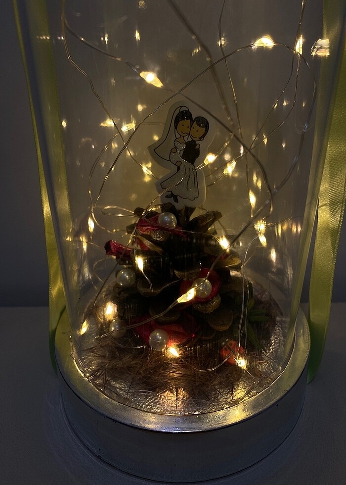 Led Işıklı Cam Fanus-Dekoratif Mika Cam Fanus - Görsel 2