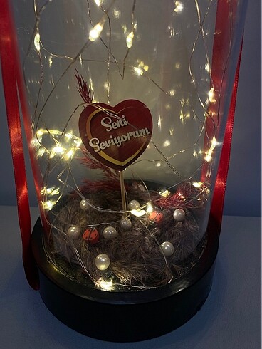 Led Işıklı Cam Fanus-Dekoratif Mika Cam Fanus - Görsel 2