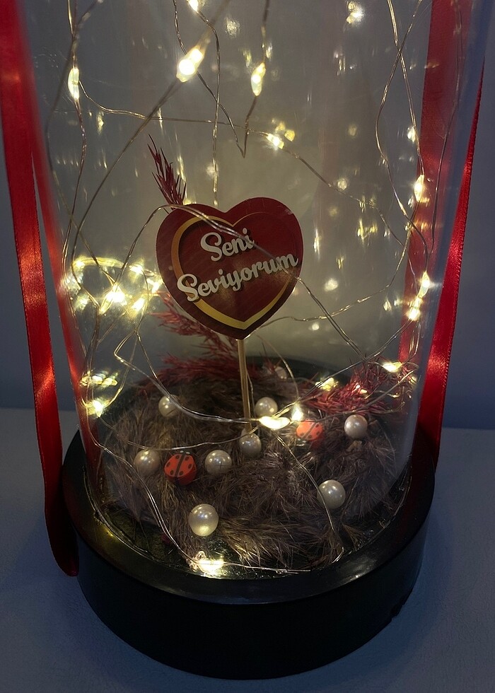 Led Işıklı Cam Fanus-Dekoratif Mika Cam Fanus - Görsel 2