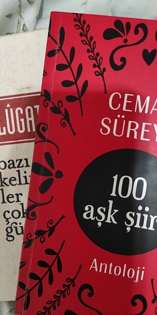 Lügat 365 & 100 aşk şiiri