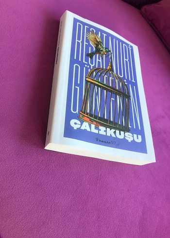 Beden Renk Reşat Nuri Güntekin - Çalıkuşu Romanı