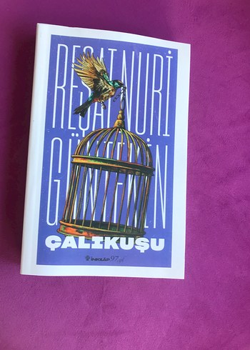 Reşat Nuri Güntekin - Çalıkuşu Romanı