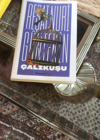 Çalıkuşu Romanı