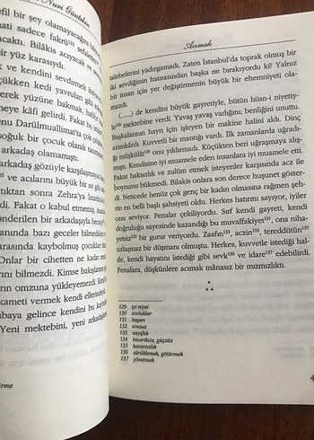 Reşat Nuri Güntekin - Acımak Romanı - Görsel 2