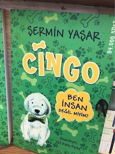 Cingo