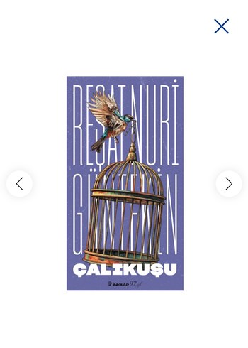 Çaltıkuşu Romanı sormadanmesaj çekmeden satın almayın lütfen