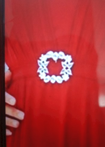 kırmızı V Yakalı Uzun Salaş şifon  kemerli Elbise - Görsel 5