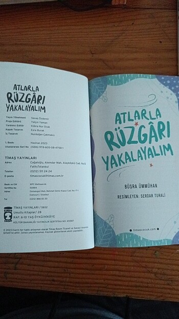  Beden Renk Atlarla rüzgarı yakalayalım