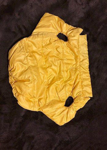 Sarı Parlak Sokak Stili Köpek Montu - Görsel 3