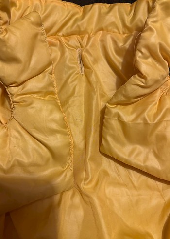 Sarı Parlak Sokak Stili Köpek Montu - Görsel 2