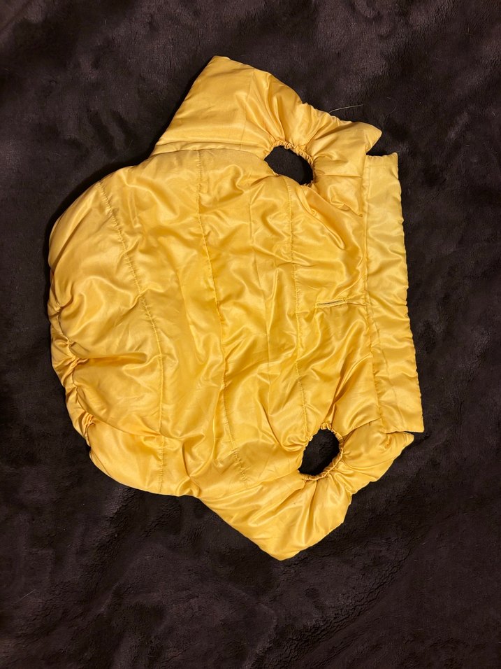 Sarı Parlak Sokak Stili Köpek Montu - Görsel 3