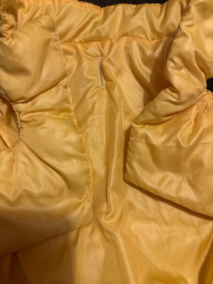 Sarı Parlak Sokak Stili Köpek Montu - Görsel 2