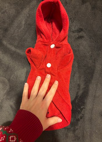 Düğmeli Kırmızı Kapüşonlu Köpek Kıyafeti - Görsel 2