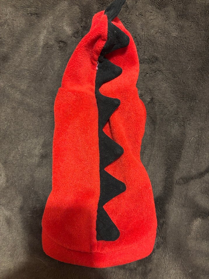 Düğmeli Kırmızı Kapüşonlu Köpek Kıyafeti - Görsel 5