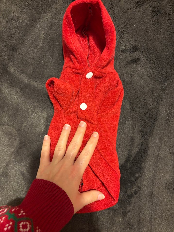 Düğmeli Kırmızı Kapüşonlu Köpek Kıyafeti - Görsel 2