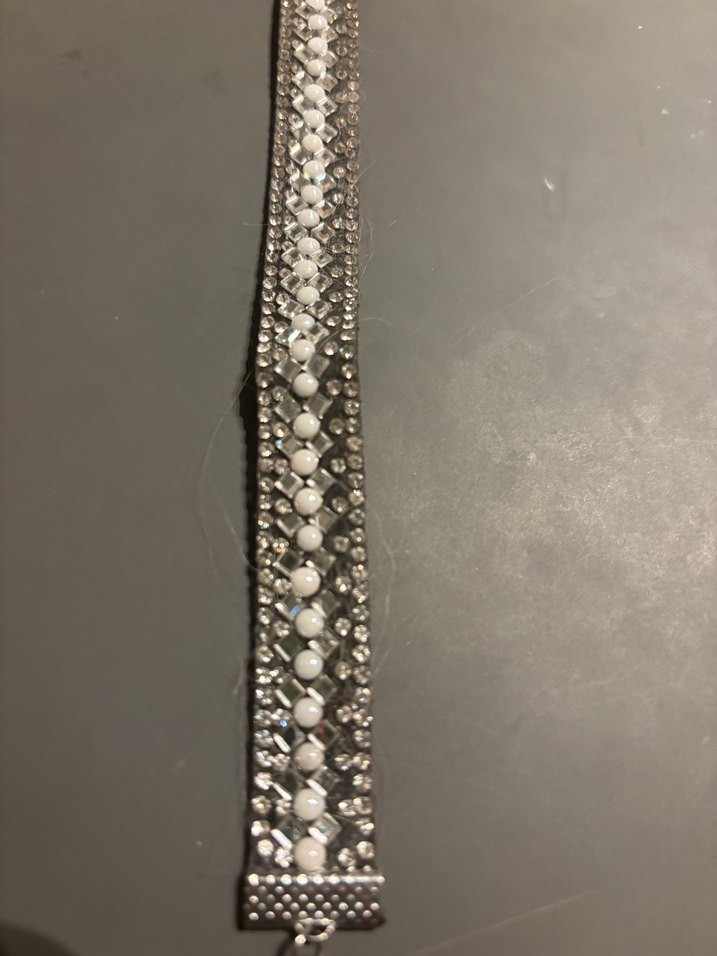 Zincir Detaylı Parlak Taşlı Köpek Tasma - Görsel 3