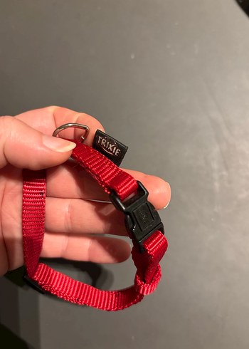 Kırmızı Ayarlanabilir Köpek Tasması - Görsel 4