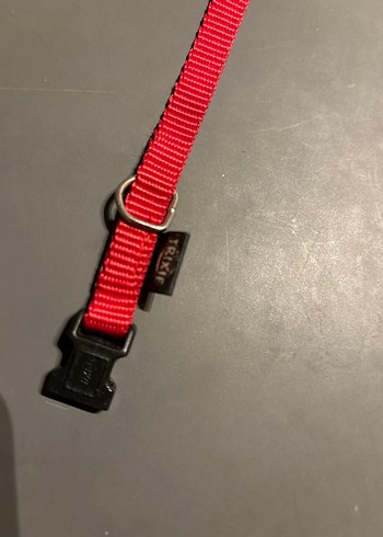 Kırmızı Ayarlanabilir Köpek Tasması - Görsel 3