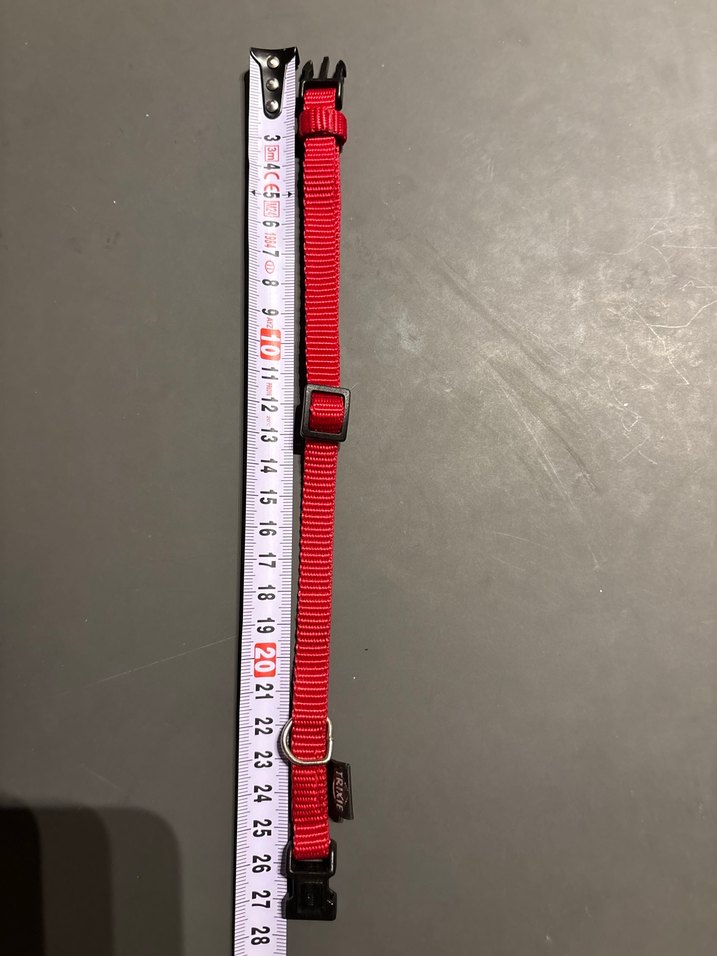 Kırmızı Ayarlanabilir Köpek Tasması - Görsel 2