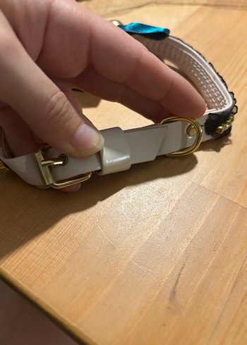 Parlak Turkuaz Kedi/köpek Tasma Fiyonk ve Kurukafa - Görsel 3