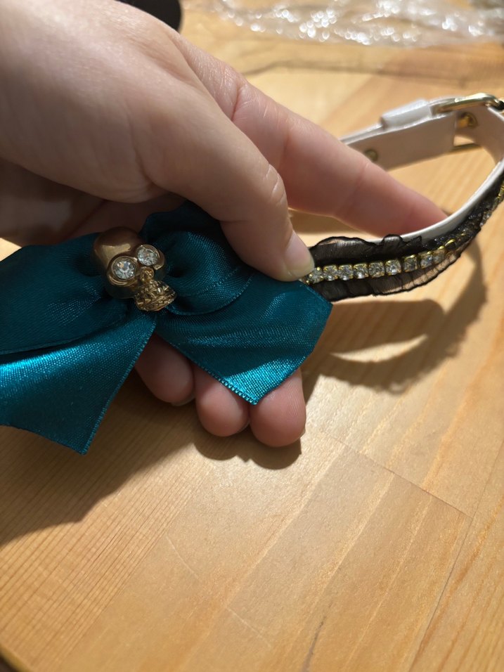 Parlak Turkuaz Kedi/köpek Tasma Fiyonk ve Kurukafa - Görsel 2