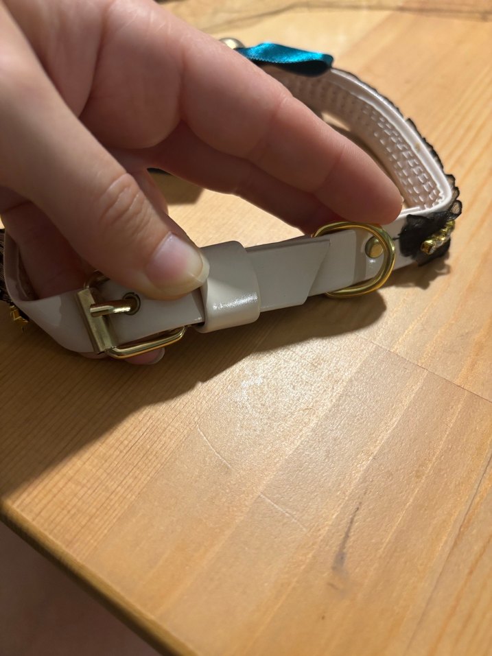 Parlak Turkuaz Kedi/köpek Tasma Fiyonk ve Kurukafa - Görsel 3