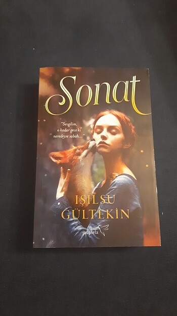 SONAT IŞILSU GÜLTEKİN 