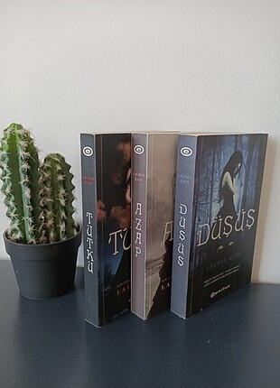Lauren Kate Düşüş serisi