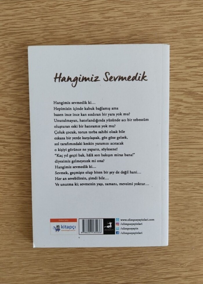 Hangimiz Sevmedik - Görsel 2